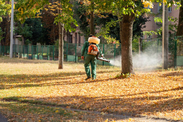 Best Affordable Pest Control Services  in Paducah, TX