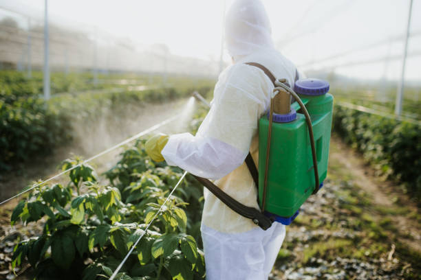 Best Pest Prevention Services  in Paducah, TX